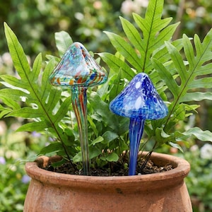 Puede incluir: Dos regadores de plantas con forma de hongo de vidrio. Uno es azul con manchas blancas, el otro es multicolor con rojo, verde y azul. Se insertan en una maceta de terracota con plantas verdes.