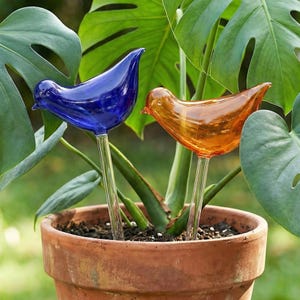 Bird self watering glass plant - Etsy 日本