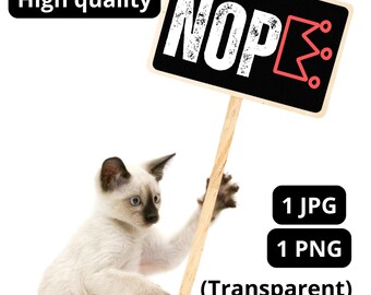 No Kings Protest Sign Png | No King In America Yard Sign png - Nop Anti-Trump Protest Sign: Anti Trump Sign,No Kings Protest Sign Pngs