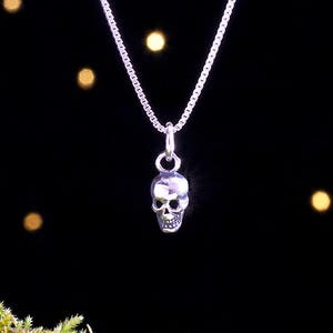 May include: A silver skull pendant necklace hanging from a silver chain against a black background with out-of-focus lights.