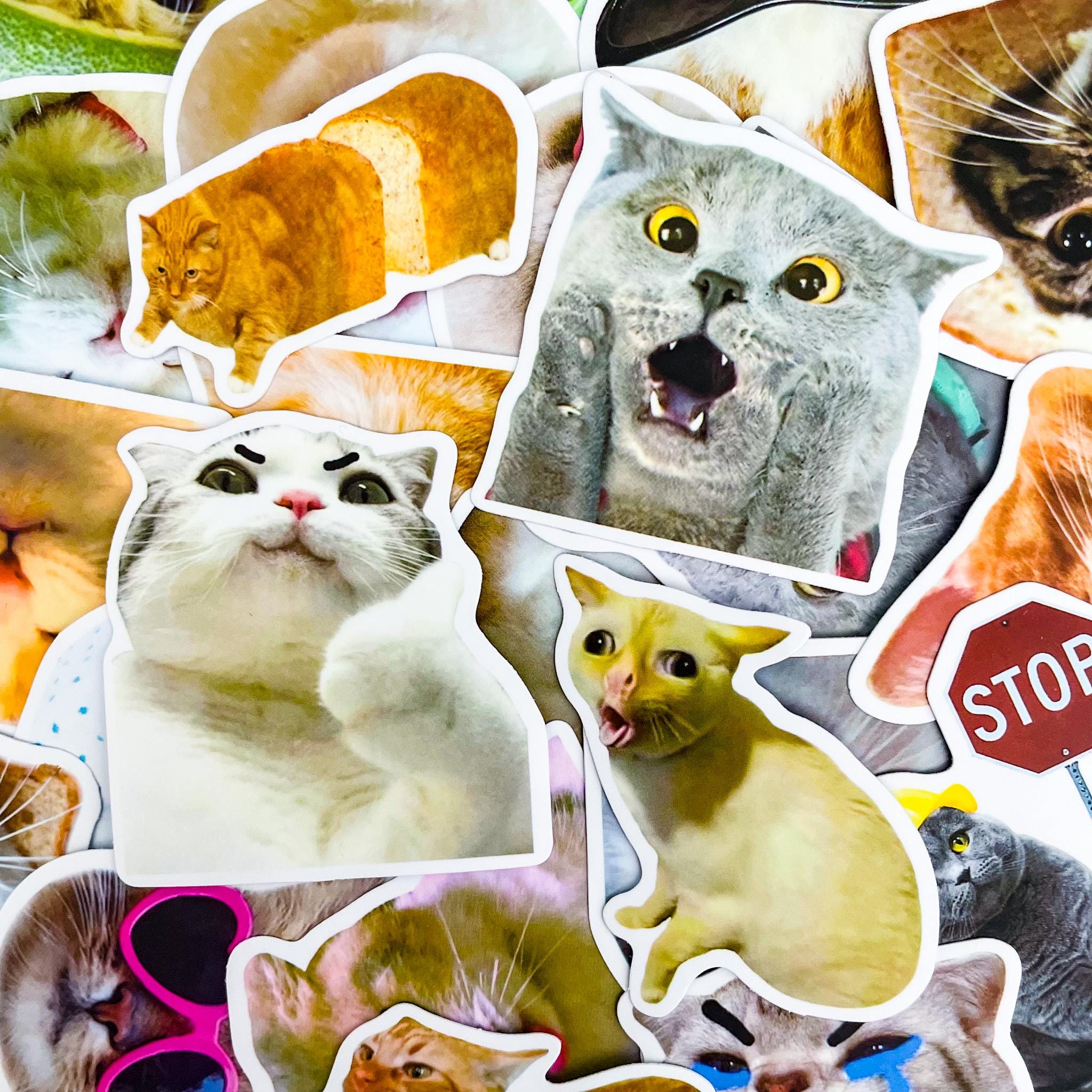 50PCS Cat Lover Sticker Pack, Funny Meme Stickers, Playful Feline ...