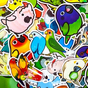 50 zufällige Papageienaufkleber, Wellensittiche und Kakadus wasserdichte Aufkleber, Aufkleber mit Vogelmotiven, süße Vogelaufkleber, bunte Journalaufkleber