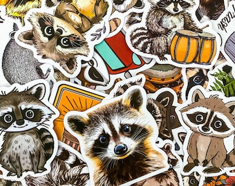 50 Random Trash Panda Stickers, Adorable Waterproof  Raccoon Stickers, Raccoon Decals, Funny Animal Stickers, Stickers for Kindle, Laptop