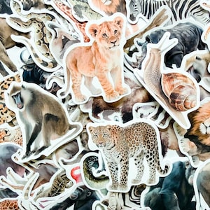 Puede incluir: Un conjunto de pegatinas de animales que incluyen un cachorro de león, un leopardo, un caracol, una cebra y un mono. Las pegatinas tienen un borde blanco y son de varios colores, como marrón, beige y negro. Ideales para álbumes de recortes o manualidades.