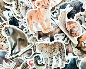 50PCS Realistic Wildlife Stickers, Jungle Animal Adventure Stickers, Leopard Safari Stickers, Nature Artistic Stickers for DIY Craft, Kindle
