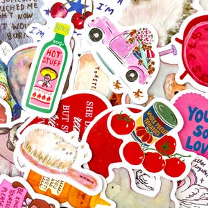 Può includere: Una collezione di adesivi colorati con vari disegni. Gli adesivi degni di nota includono una bottiglia verde con la scritta "HOT STUFF", un'auto rosa, una lattina di "WHOLE PEELED TOMATOES" e un adesivo rosso a forma di cuore. Altri adesivi presentano testo e illustrazioni.