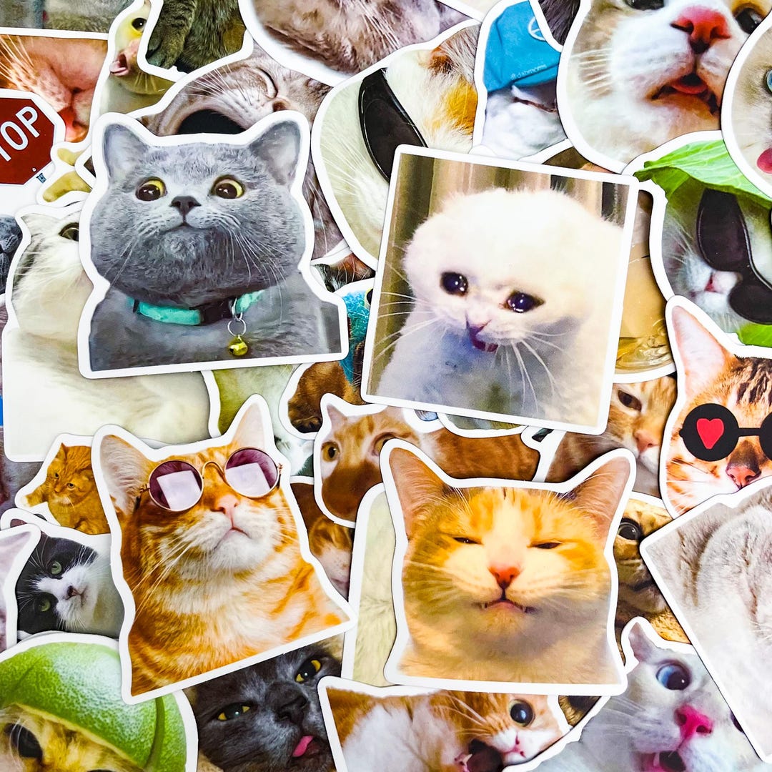 Fun Sticker Cat Leader 50PCS Cat Lover Sticker Pack, Funny Meme Stickers, Playful Feline ...
