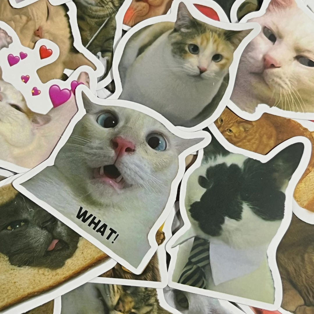 Sticker Cat. Random 50 Random Cat Stickers Pack, Cute Cat Sticker Set for Cat Lovers, Kitty ...