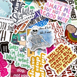 Puede incluir: Una colección de pegatinas coloridas con varios diseños y texto. Una pegatina presenta un esqueleto con el texto "Does it look like I care?" Otras pegatinas tienen frases como "Slightly Unfiltered" y "You constantly amaze me but not in a good way."
