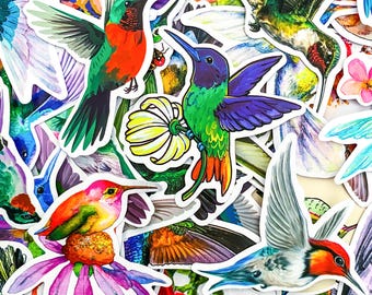 50 Random Colorful Hummingbird Stickers, Nature-Inspired Stickers, Waterproof Stickers, Artistic Bird Stickers, Cute Animal Stickers