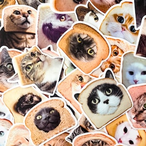 May include: A collection of cat stickers with various cat faces framed by slices of toast. The cats have different fur colors and patterns, including tabby, black, and white. The toast has a golden-brown color.