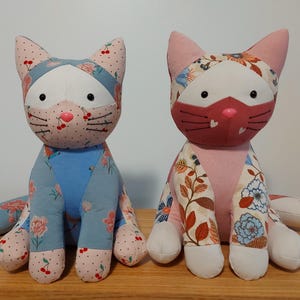 Ours en peluche souvenir de chat