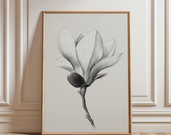 Boceto de magnolia de estilo vintage para imprimir - Arte botánico minimalista, decoración floral monocromática en grafito, arte de pared neutro para descargar
