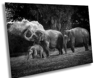 Fotoafdruk familie olifant: zwart-witte muurkunst zachte reuzen