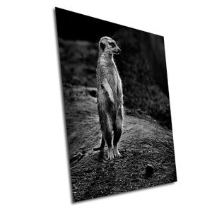 Alert Meerkat Art Print: Black and White Animal Wall Decor