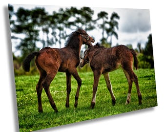 Irish Pony Print: Playful Foals, County Kildare Equestrian Art