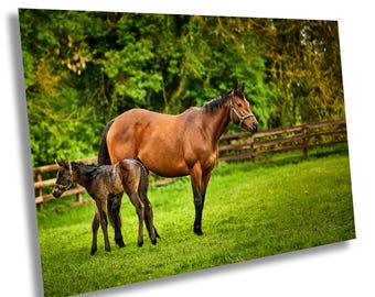 Chestnut Mare and Foal Print: Irish Paddock Equestrian Wall Art