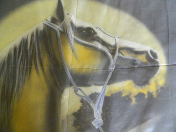 Royal Lipizzan Stallions Photochrome Novelty Prin… - image 6
