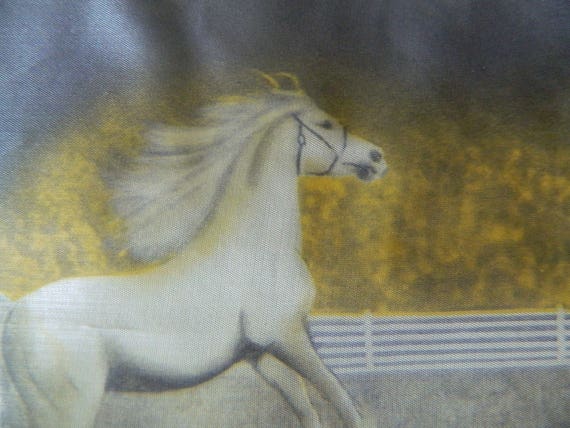 Royal Lipizzan Stallions Photochrome Novelty Prin… - image 3