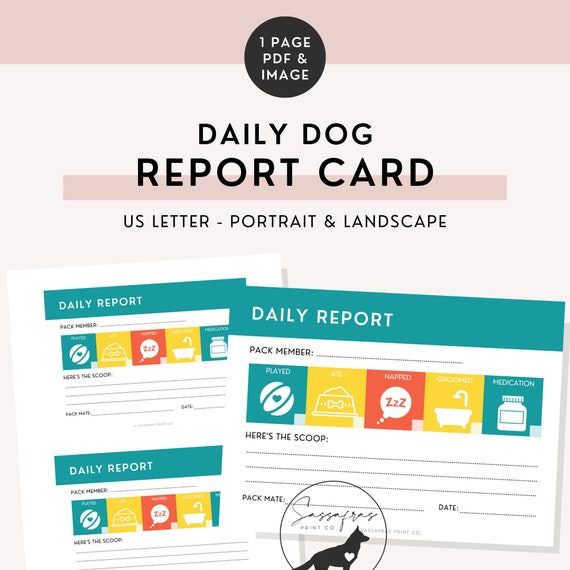 dog-report-card-for-dog-groomers-zazzle-in-2021-report-card