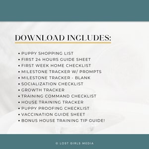 BUNDLE: Neutral New Puppy Printable Bundle Printable Pet Workbook, Puppy Checklist, Puppy Worksheets BONUS House Training Guide image 8