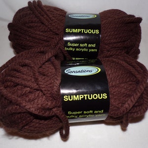 2 Skeins of Sumptuous Super Soft and Bulky Acrylic Yarn