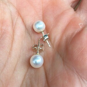 Pearl Drop Studs in Sterling Silver