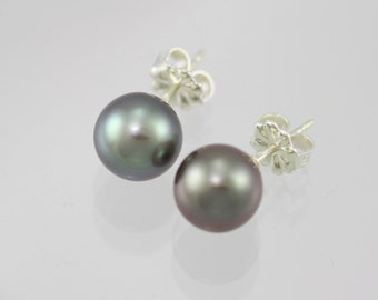 Tahitian Pearl Drop Studs in Sterling Silver