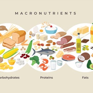 Macronutrient Calculator PDF