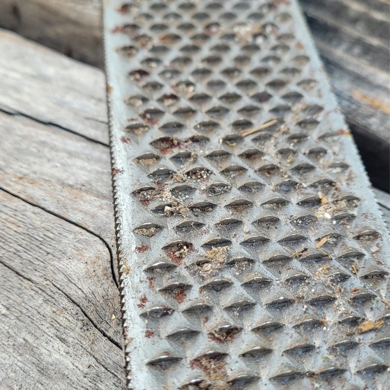 Rusted Rasp Used Farrier Horse Rasp - 17