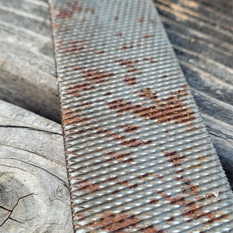 Rusted Rasp Used Farrier Horse Rasp - 17