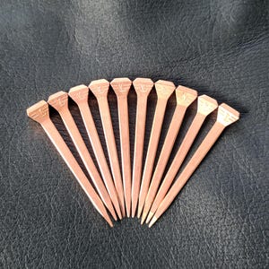 Op de afbeelding: Een set van tien koperen hoefijzernagels met een gouden afwerking. De nagels zijn in een waaier vorm gerangschikt en hebben een puntige punt. Elke nagel heeft een letter 'L' gestempeld op de kop.