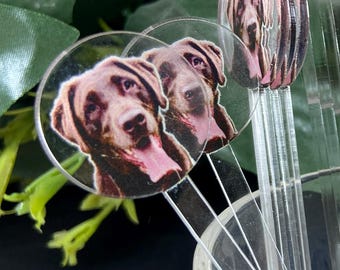 Personalized Dog Photo Wedding Stir, 1 side pet photo stirrer, Clear Couple initials, Cocktail Bar Favor, Signature Drink, Luxury Bar Sign