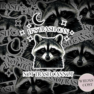 Raccoon Sticker Funny Motivational Decal Water Bottle Sticker Weird Stuff Gift for Him Weirdcore Humor Thinking of You Gift Stocking Stuffer