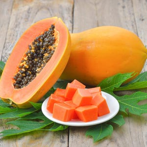 PAPAYA (Carica papaya VAR. red Passion), 100% Organic Fresh Seeds
