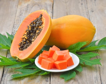 パパイヤ（Carica papaya VAR. red Passion）、100％オーガニックフレッシュシード