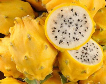 Può includere: Primo piano di diversi frutti del drago gialli, uno tagliato per rivelare la polpa bianca con semi neri. I frutti hanno una buccia strutturata e sono di un giallo brillante.
