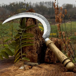 May include: A curved sickle with a silver blade and a wooden handle. The blade has a textured finish. The handle is made of light-colored wood with dark wood accents. The sickle is designed for agricultural use, such as harvesting crops.