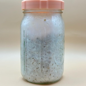 Könnte beinhalten: Ein Glasgefäß mit einem rosafarbenen Deckel, gefüllt mit einer weißen und grauen Substanz. Das Gefäß hat eine strukturierte Oberfläche.