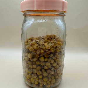 Sterilisiertes Getreide-Glas