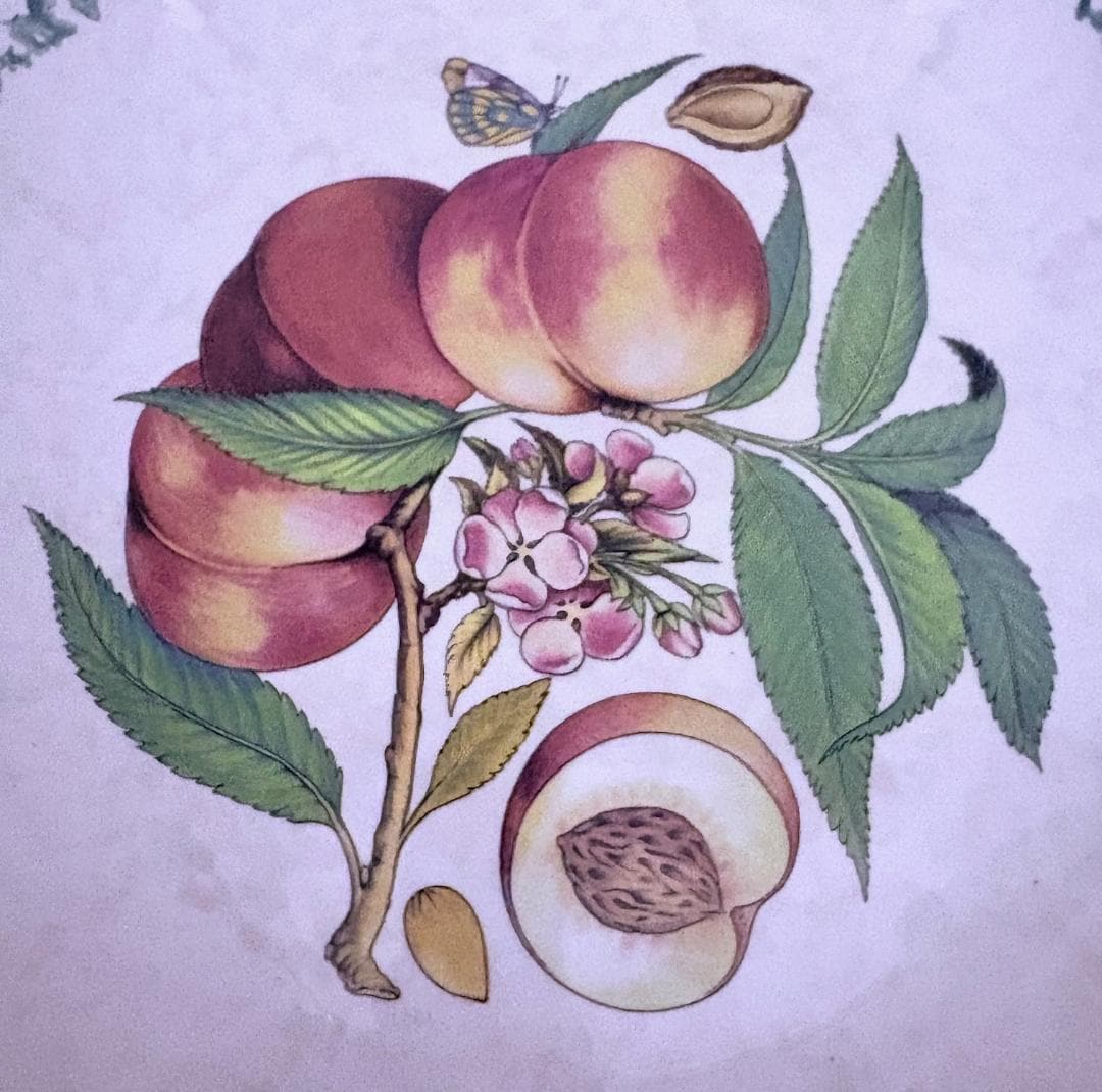 Vintage Hand-Painted Butterfly Pasta Bowl: Italian Botanicals Platter