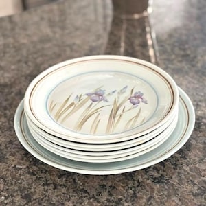 May include: A stack of white ceramic plates with a floral iris design. The plates have a brown rim and a light blue accent band. The iris flowers are purple and the stems are tan. The plates are stacked on a larger plate with a light blue rim.