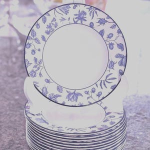 Set of 12 Royal Stafford Spring Garden Blue and White Earthen  Ware Find Bone China Salad /Luncheon Plate. Made in England.