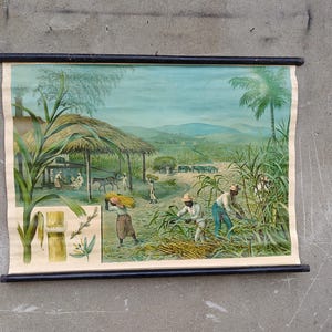 mappa del rotolo della vecchia scuola