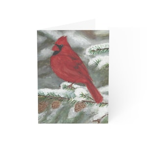 Grußkarten, Nordkardinalvogel verschneite Winterszene, 10pk, 30 Stück, 50er-Pack, Grußkarten, Weihnachtskarten