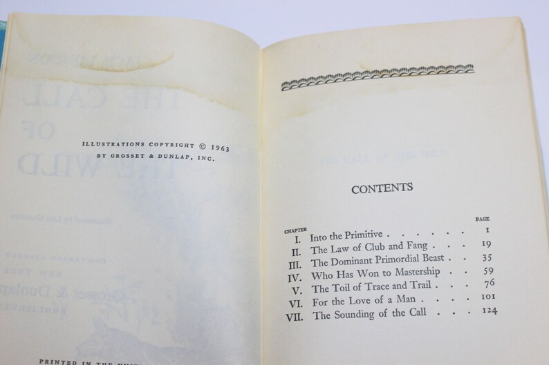 Double Feature Book Black Beuty and The Call of the Wild imagem 10