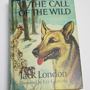 Double Feature Book Black Beuty and The Call of the Wild imagem 2