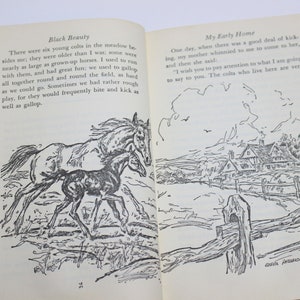 Double Feature Book Black Beuty and The Call of the Wild imagem 8