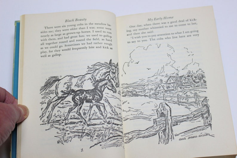 Double Feature Book Black Beuty and The Call of the Wild imagem 8