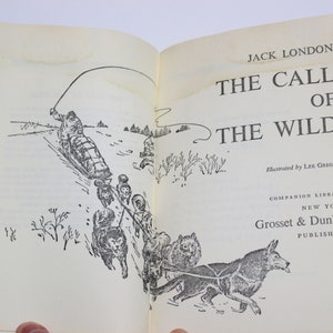 Double Feature Book Black Beuty and The Call of the Wild imagem 9